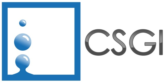 Logo CSGI Florence