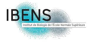 Logo IBENS
