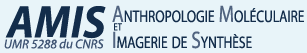 Logo AMIS