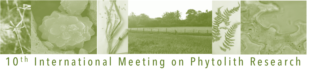 bandeau 10th International Meeting on Phytolith Research