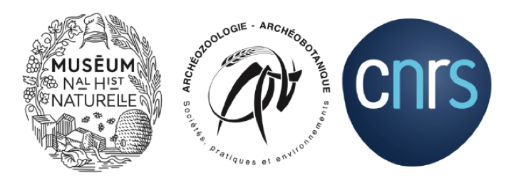 logo AASPE