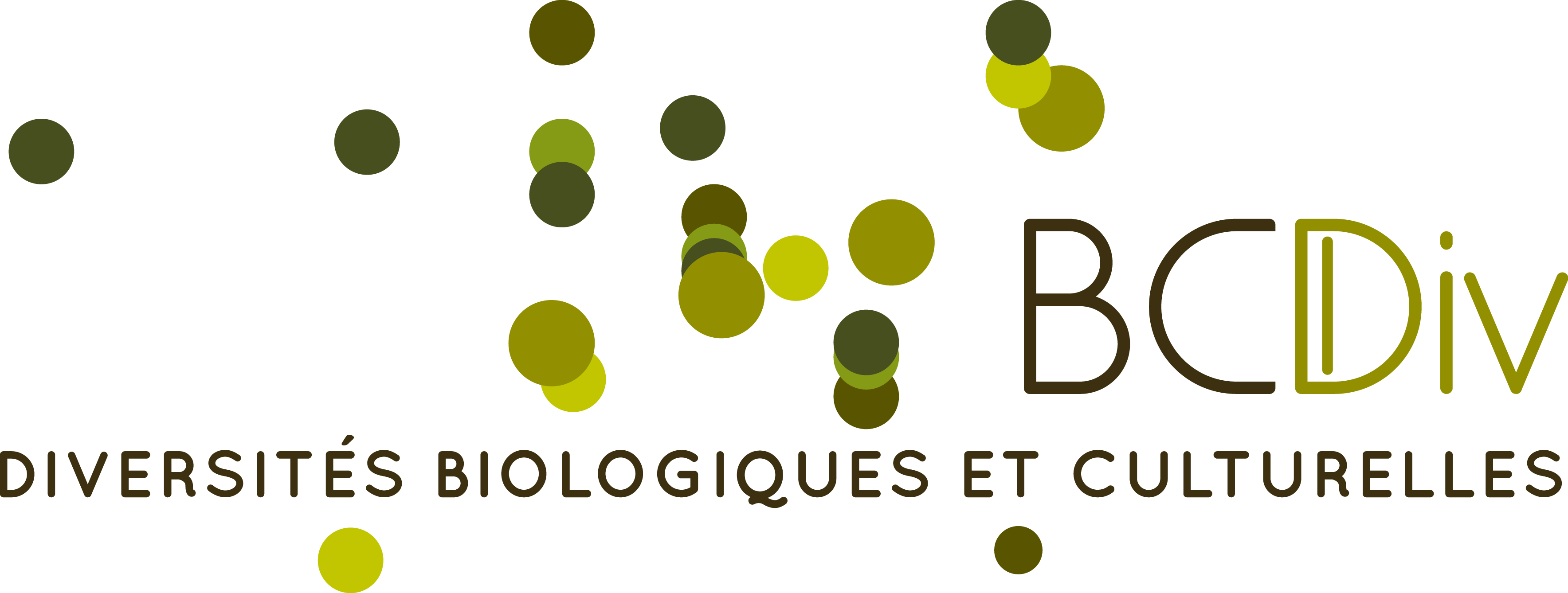 logo BCDIV
