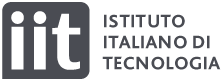 logo iit